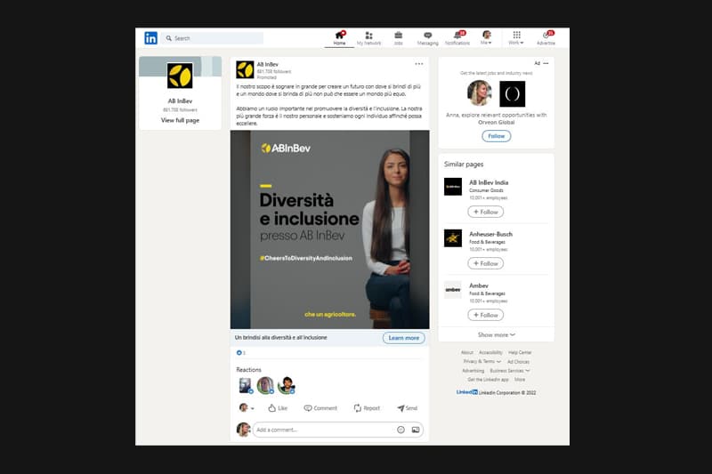 Diversity and Inclusion campaign